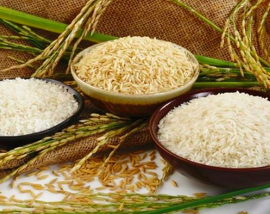 Một doanh nghiệp xuất khẩu gạo lớn bất ngờ báo lỗ lần đầu từ khi lên sàn