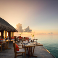 Khám phá dấu ấn đầu tiên của MGallery Collection tại thiên đường nghỉ dưỡng Maldives với V Villas Maldives at Mirihi - MGallery Collection