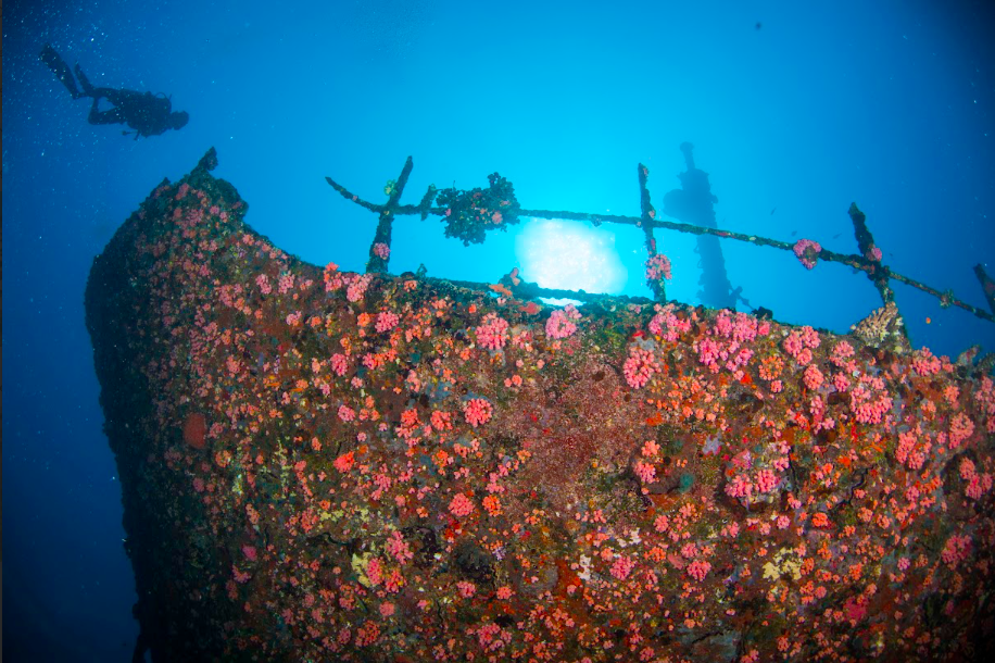 Hơn cả một kỳ nghỉ: Centara hé lộ những trải nghiệm văn hóa và thiên nhiên sống động tại Châu Á và Maldives